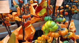 Decorative 'pumpkin tree' grown in Las Vegas