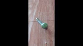 Strange worm with giant bulbous head filmed crawling on floor of Vietnamese home