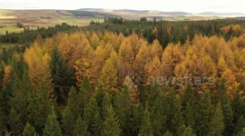 Drone Captures Beautiful Autumn Colours