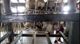 Skulls on display in a cage of the Skull House at Longhouse in Borneo