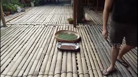 Anna Rais Longhouse in Borneo Malaysia