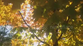 The Spirit of Autumn