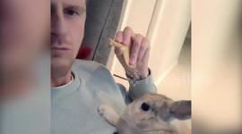 Meet the man who loves spending time with his best BUNNY