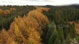 Beautiful drone footage of autumnal scenes in Northern Ireland
