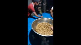 Family fends off thousands of flying termites swarming their home in Vietnam