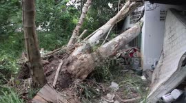 Powerful storms blow over trees damaging cars and homes in Thailand