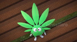 Happy Hemp Paste