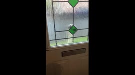 meeting the new neighbours