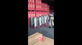 Rat Snake Caught Hiding In Beer Barrels