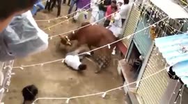 Shocking moment angry bull attacks man and tries to crush him in northwestern India