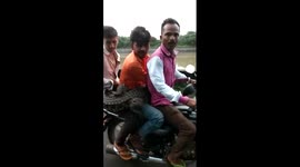 Brave men rescue crocodile and carry it with them on motorbike in western India
