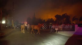 Horses evacuated after wildfire erupts in Jurupa Valley, California