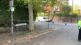 Muswell hill stabbing