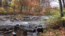 Rainy Fall Day in Kennebunk, Maine