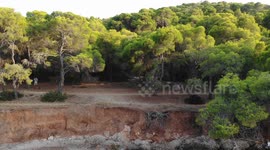 4K Forest next to the sea