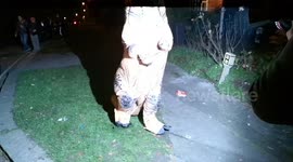 T Rex Has Trouble Getting To The Jonathan Ross Halloween Party