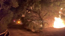 Maria Fire Santa Paula Ca