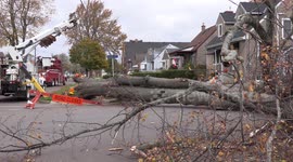 Trees and power lines down and town dock moved inland by severe wind storm and lake surge on lake Erie at Port Colborne