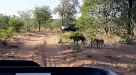 Feeling the need to rest