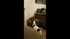 They are best friends really