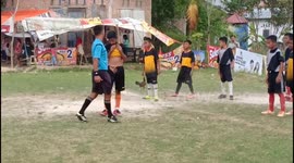 chicken football