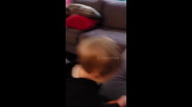 Adorable toddler learning to brush his teeth instead gets his teeth licked by his dog