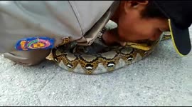 Indonesian man kisses 2.5-metre-long python during rescue