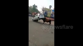 Furious bull smashes up small car honking it on road in east India