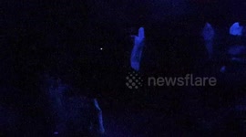 Casper Friendly  ghosts at Halloween Circus Unedited