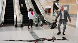Extinction Rebellion activists storm Africa Oil Week Conference