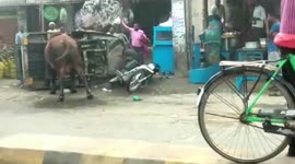 People watch in horror as rampaging bull attacks tuk-tuk and flips it in east India