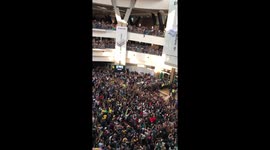 Springboks arrive back in South Africa to hero's welcome at Johannesburg airport