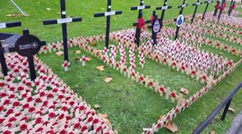 Volunteers place tributes at the Field of Remembrance at Westminster Abbey