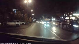 Shocking moment dog nearly gets hit by oncoming traffic