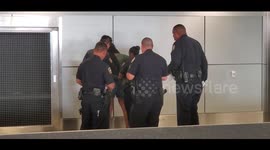 Woman at LAX arrested by airport police for attempting to steal luggage