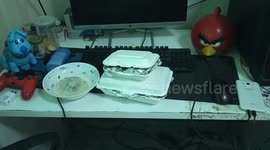 Thai teenager dies at his computer following all night gaming sessions during half-term holidays