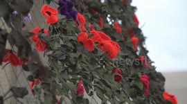 Hundreds of knitted poppies seen in Portland, UK