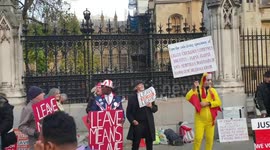 Pro-Brexit protester dresses as 'chicken' Jeremy Corbyn