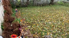 Winter and fall on Halloween day