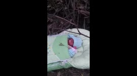 'Abandoned' baby boy found in park in north Pakistan prompts plea for information on social media