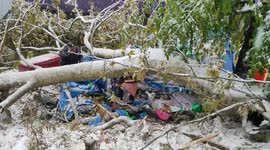 Heavy snowfall brings down tree onto shed and houseboats in northern India