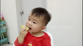 Adorable toddler loves to eat Lemon