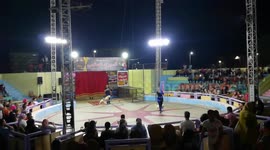 Circles Show With Cute Funny Dog In Circus