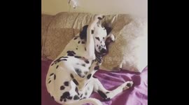 Monday morning feels