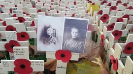 WWII veterans plant tributes for fallen comrades at the Field of Remembrance at Westminster Abbey