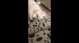 Mums home