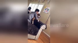 Newsflare Edit - Smothered in kisses