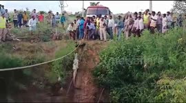 Indian forest officials rescue crocodile from 60-foot-deep well