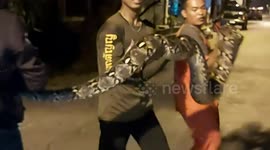 Huge python caught outside woman's home in Thailand