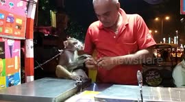 Heart warming moment an ice cream seller adopts a baby monkey after its mother passes away in a road accident